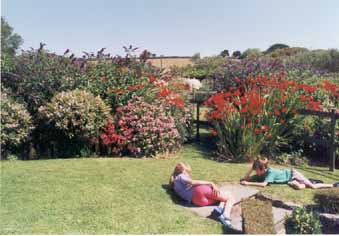 Bramblewood's colourful garden
